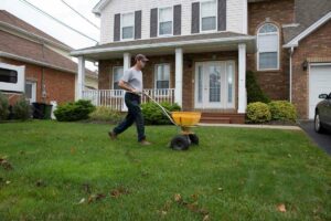 Ironite for lawns tips