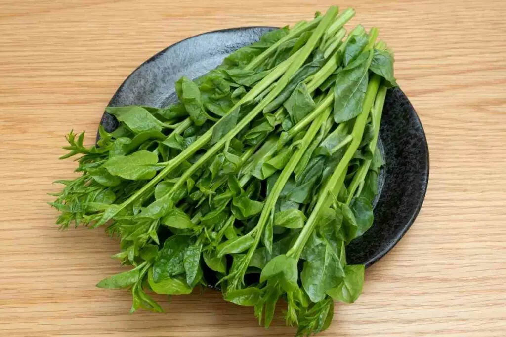 Malabar spinach type