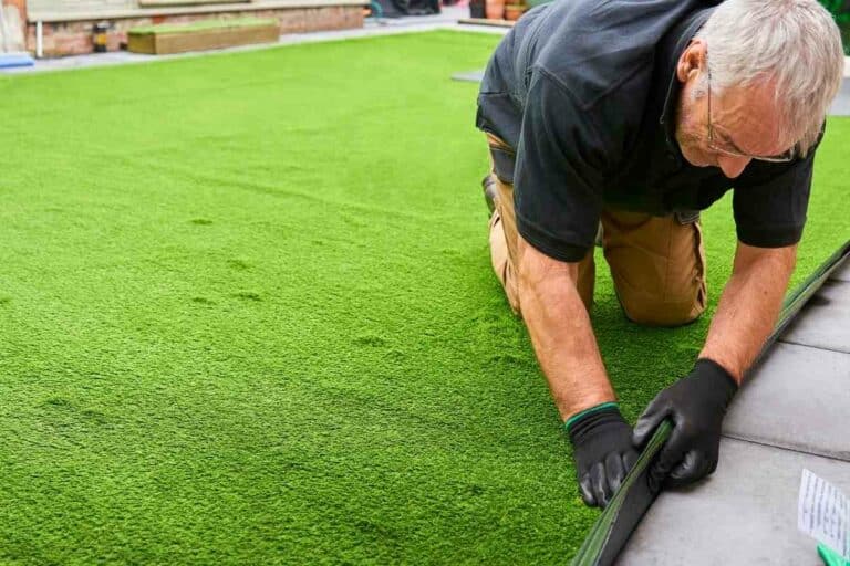 How Long Will Your Artificial Grass Last? (Artificial Grass Lifespan) Gardenia Organic