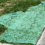 Biodegradable grass seed mat backyard