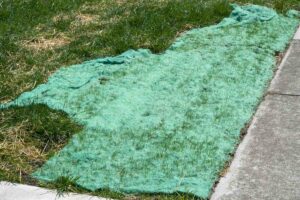 Biodegradable grass seed mat backyard