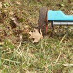 Aerating lawn in winter tips