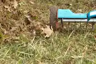 Aerating lawn in winter tips
