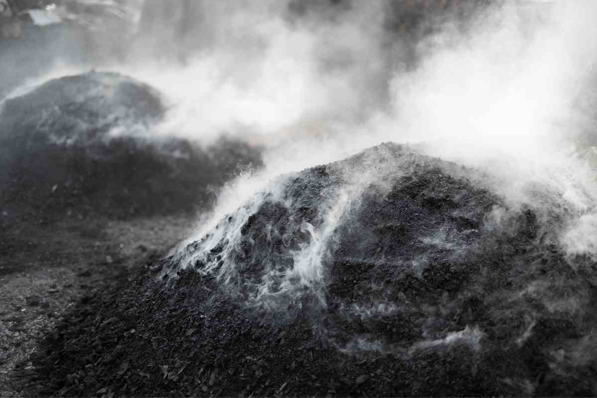 Is Charcoal Ash Good for Plants (How to Use Correctly) Gardenia Organic