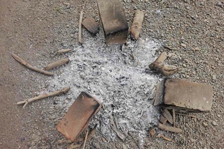 Is Charcoal Ash Good for Plants (How to Use Correctly) Gardenia Organic