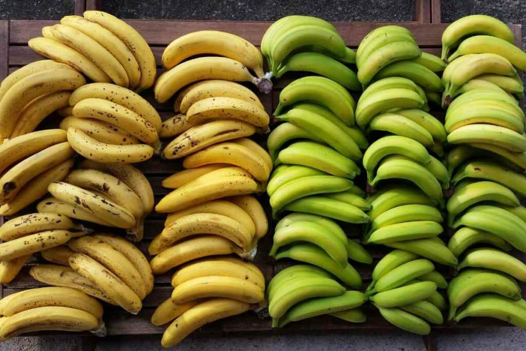 Classification Bananas