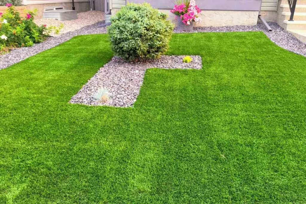 Cleaning artificial grass advice