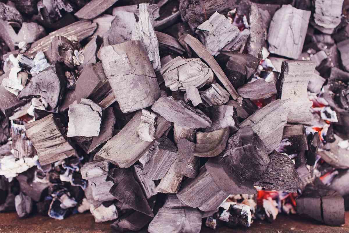 Is Charcoal Ash Good for Plants (How to Use Correctly) Gardenia Organic