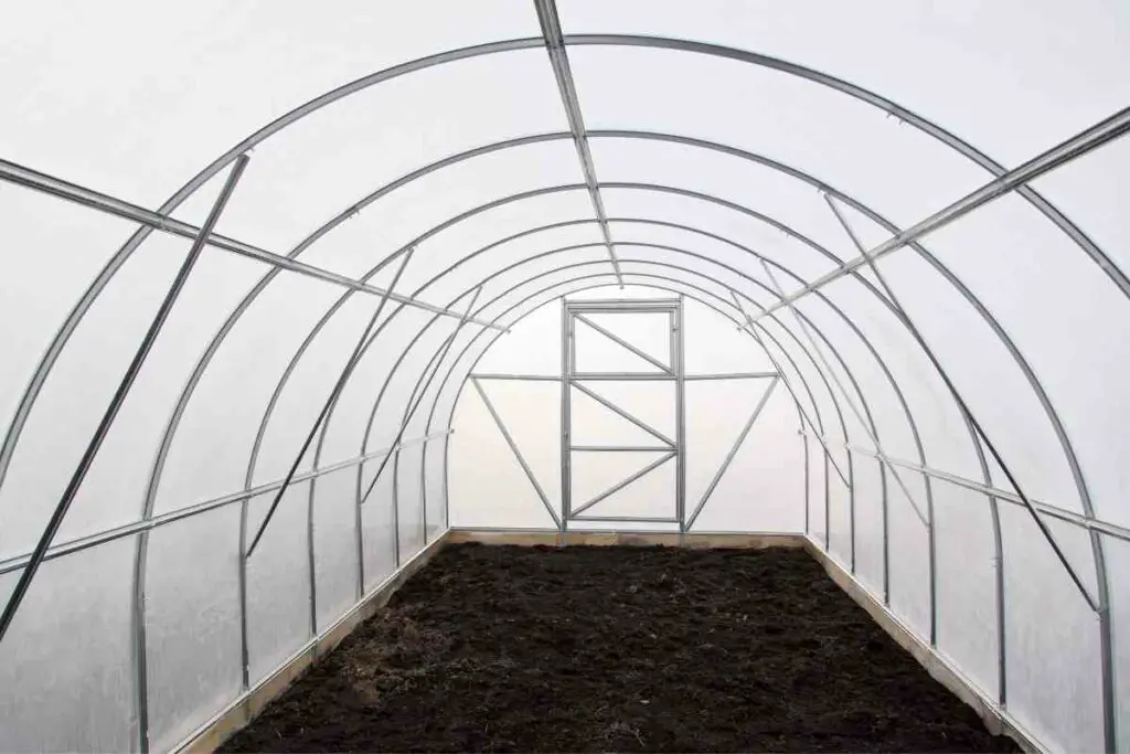 greenhouse in winter preparation