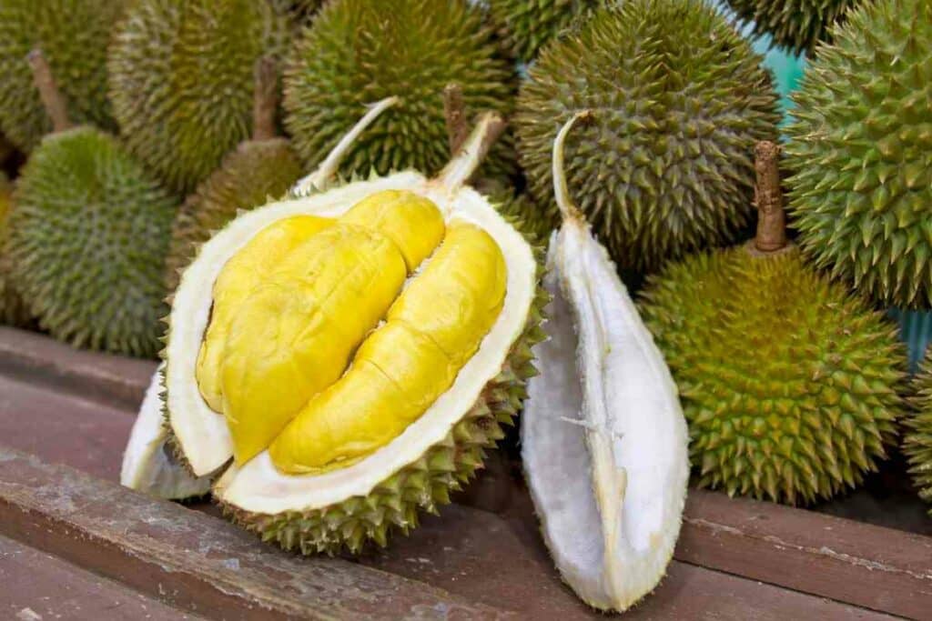 Durian yellow fruit