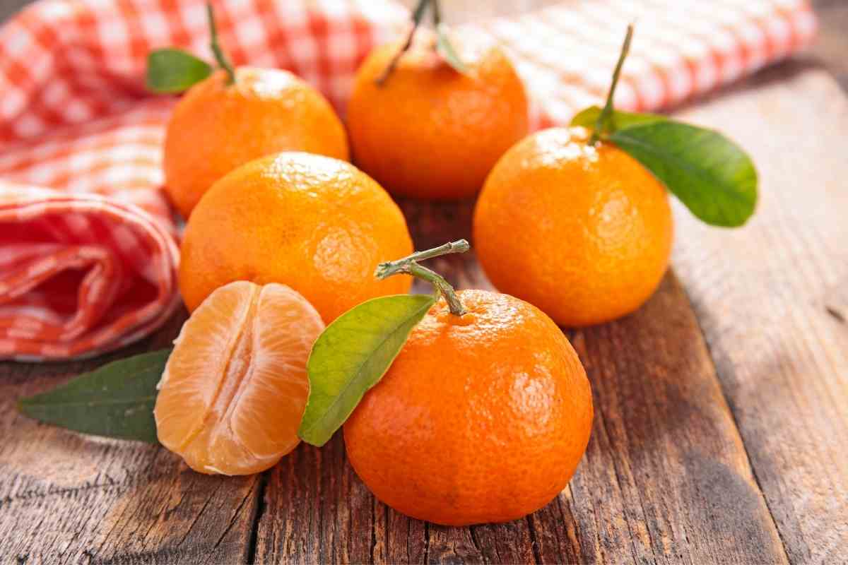 orange vs tangerine vs clementine vs mandarin