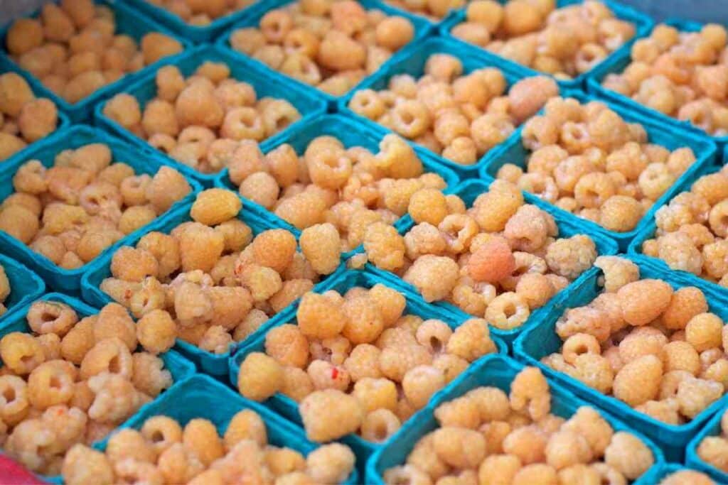 Golden raspberry yellow fruit