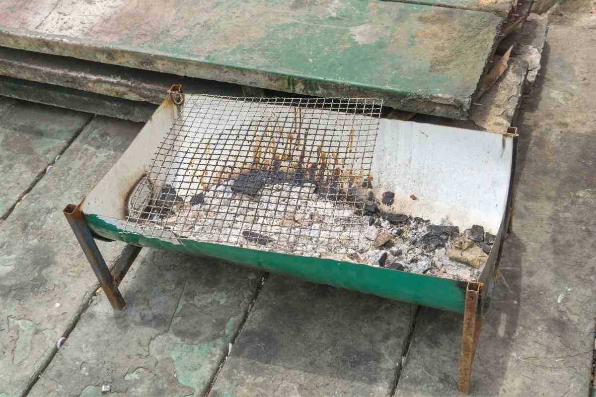 Is Charcoal Ash Good for Plants (How to Use Correctly) Gardenia Organic