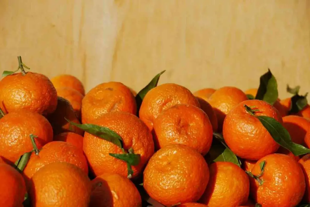 Mandarin oranges similar to clementines