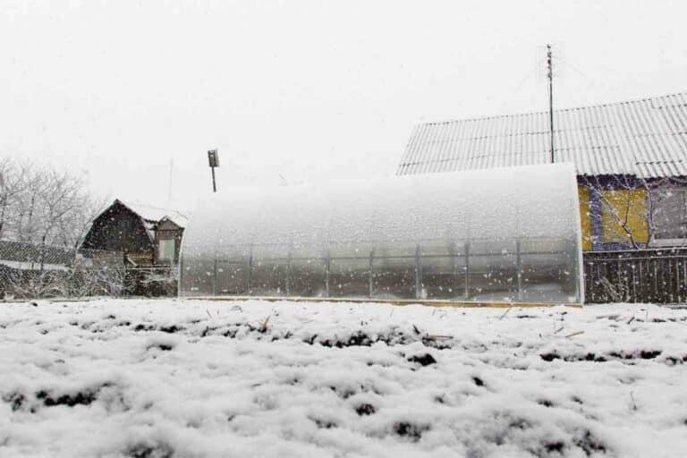 How To Heat Greenhouse In Winter (6 Proven Methods) Gardenia Organic