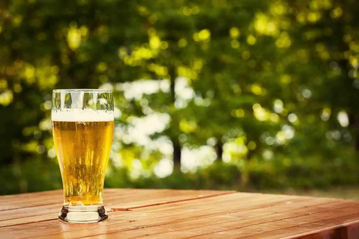 is-beer-good-for-plants-why-would-you-feed-them-beer-gardenia-organic