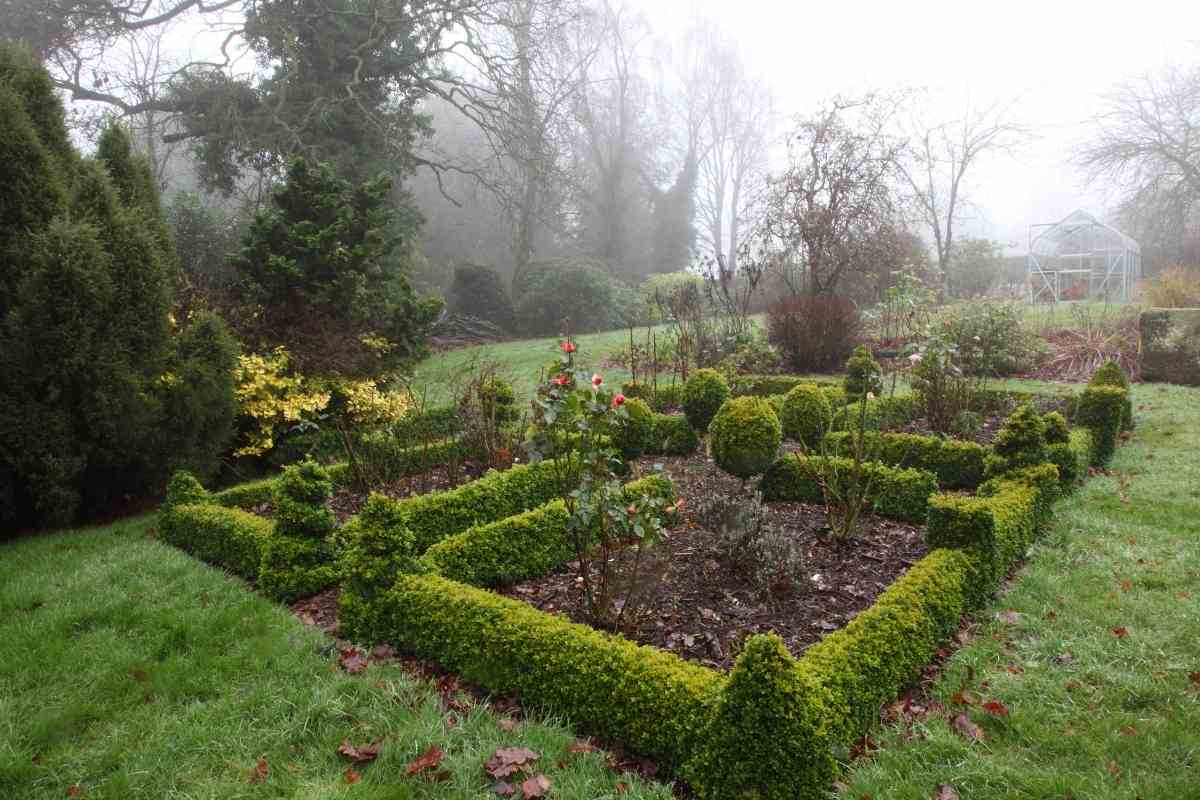 Should You Water Grass In The Winter? Gardenia Organic