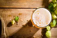 Beer good for plants or not