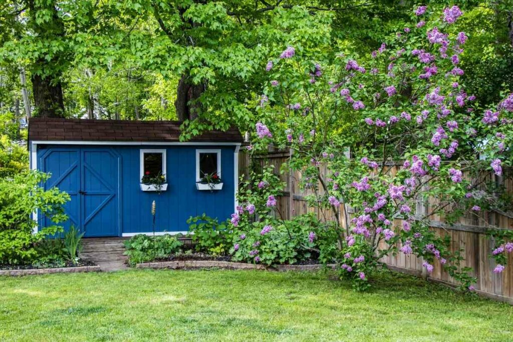Garden shed as a home