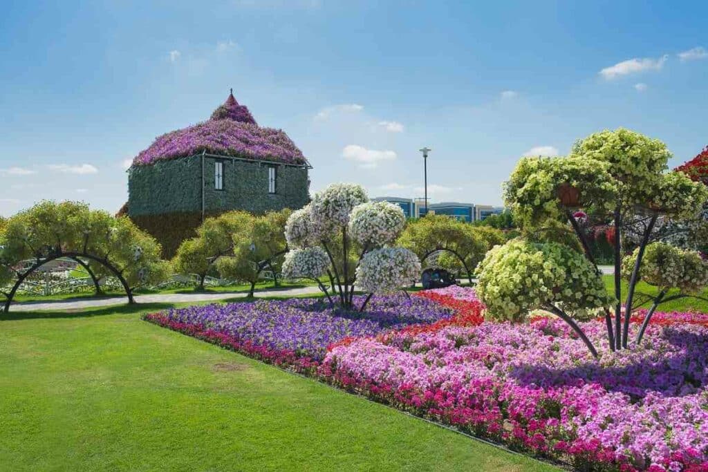 Beautiful Petunias garden