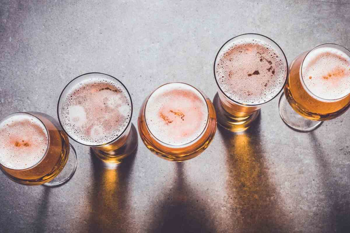 Is Beer Good for Plants? Why Would You Feed Them Beer? Gardenia Organic