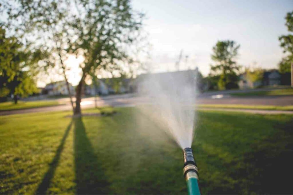 spraying Cutter Backyard Bug Control time