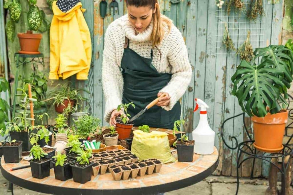 Beginners gardening class ideas