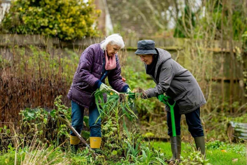 How to enjoy gardening more ideas