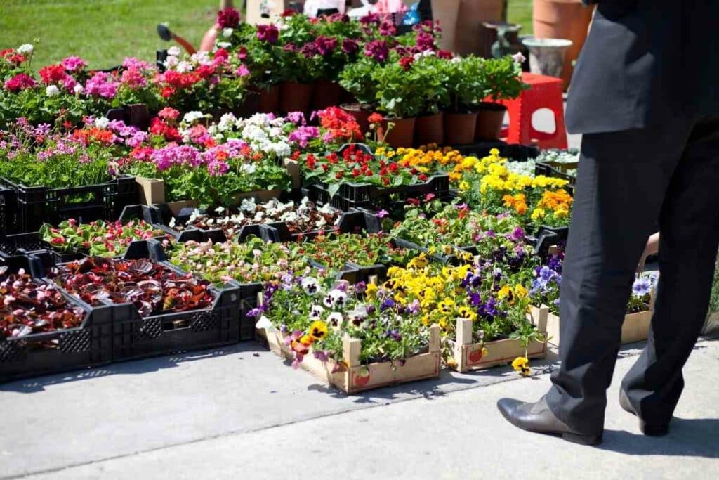 Tradition of gifting flowers to woman