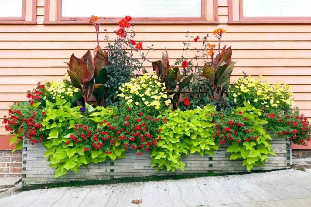 Types of lining for planters and uses