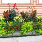 Lining Planters – 8 Types and Uses