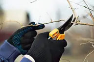 Fiskars bypass pruners