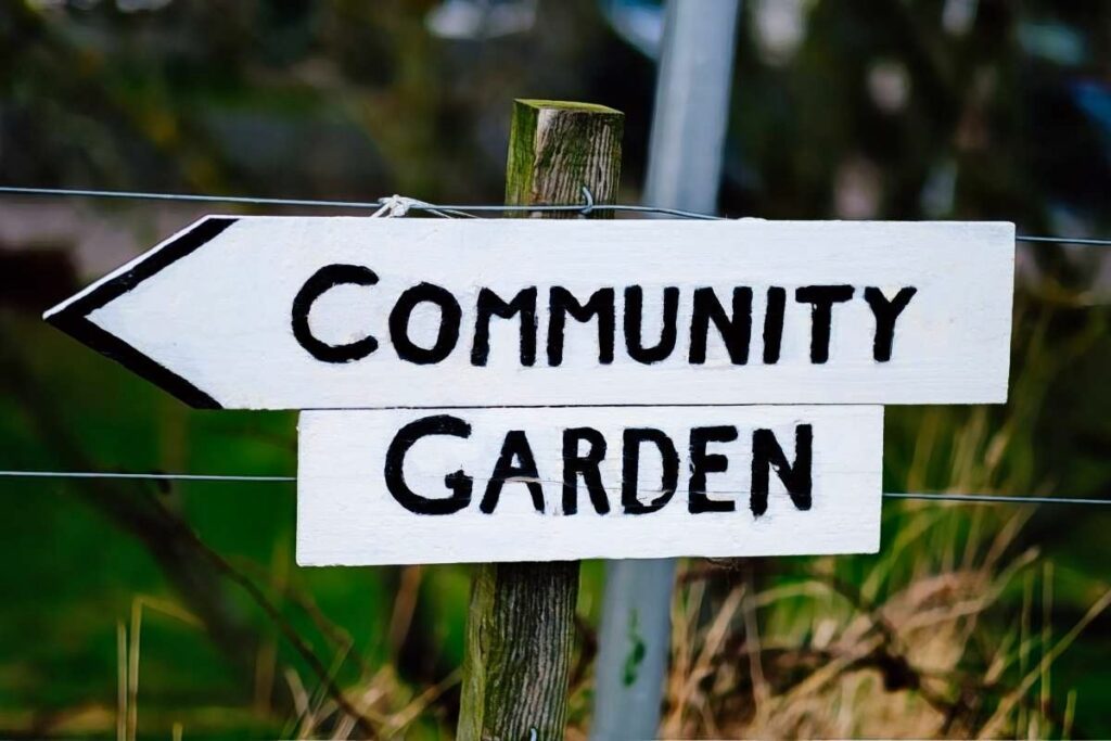 Learn how to find a community garden near you