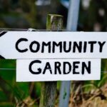 How To Find A Community Garden Near You: Tips and Resources