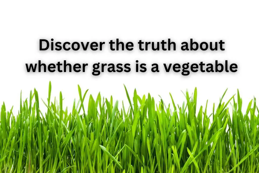 is grass a vegetable