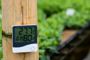 ideal greenhouse temperature