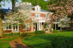 DOGWOOD TREES