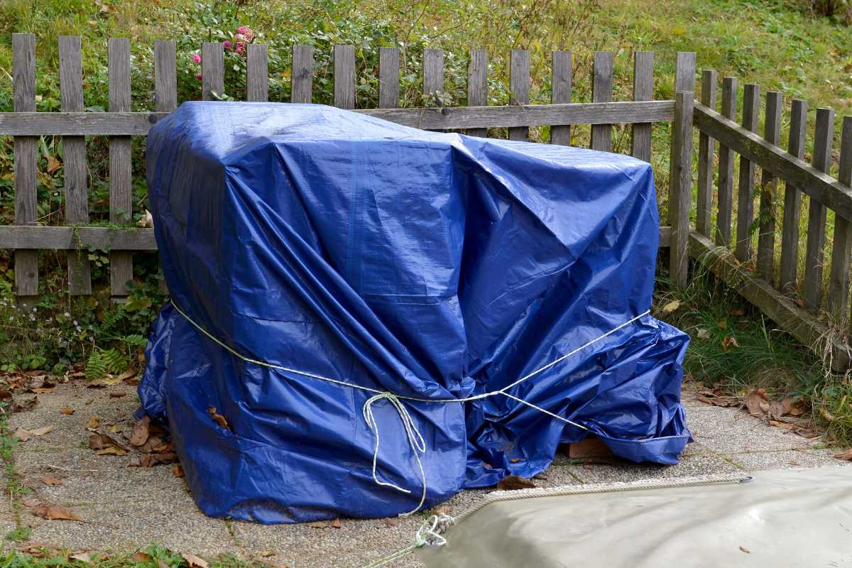 What Wind Speed is Needed to Move Patio Furniture? Gardenia Organic