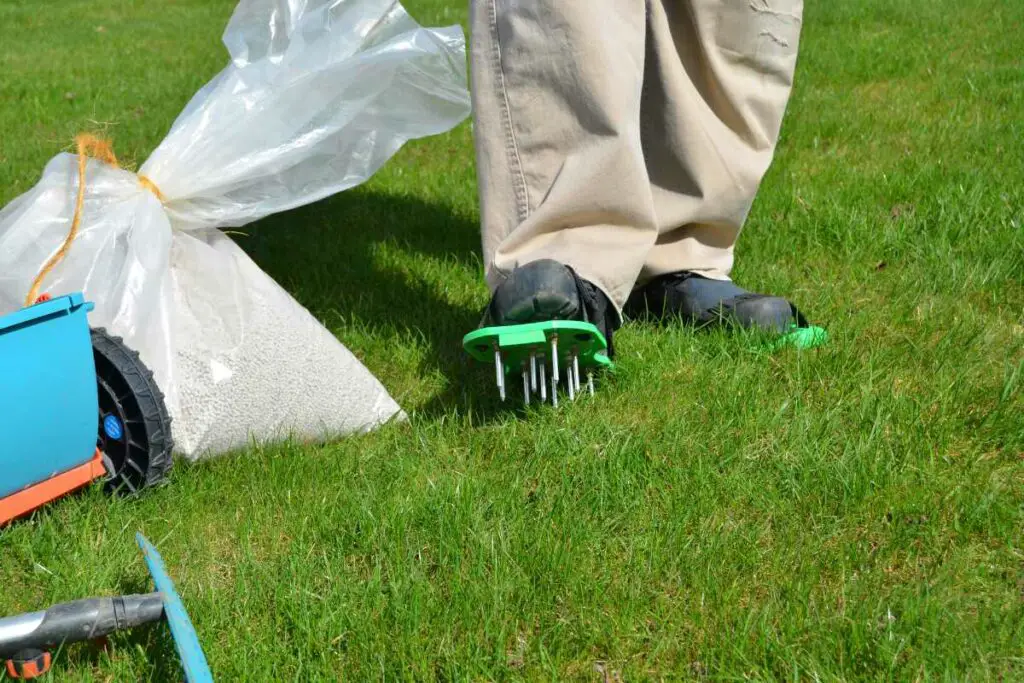feet foot spikes to spread Fertilizer for Fescue