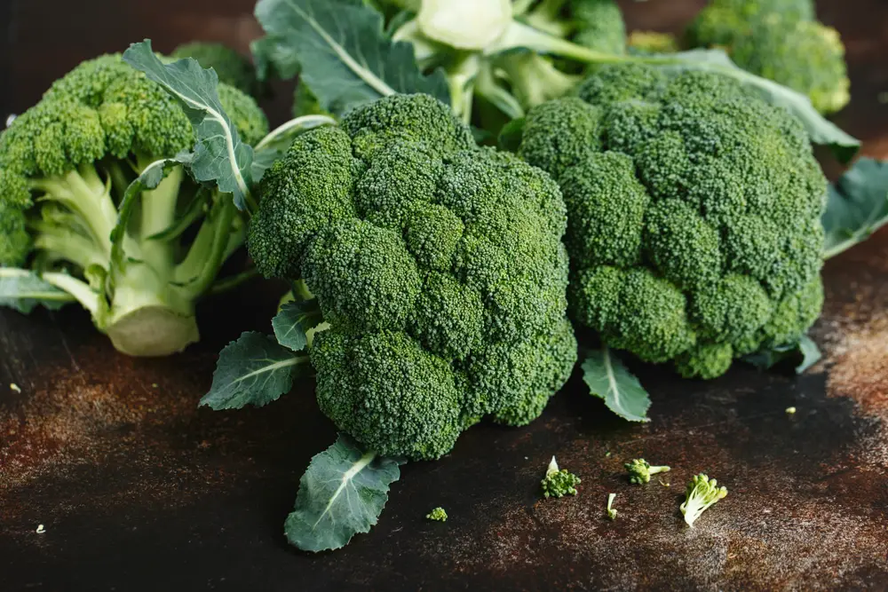 The History Of Broccoli