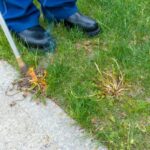 Top 3 Backyard Weed Torches for Your Gardening Needs