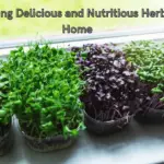 Growing Delicious and Nutritious Herbs at Home: A Comprehensive Guide