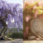 Wisteria Tree Vs Vine