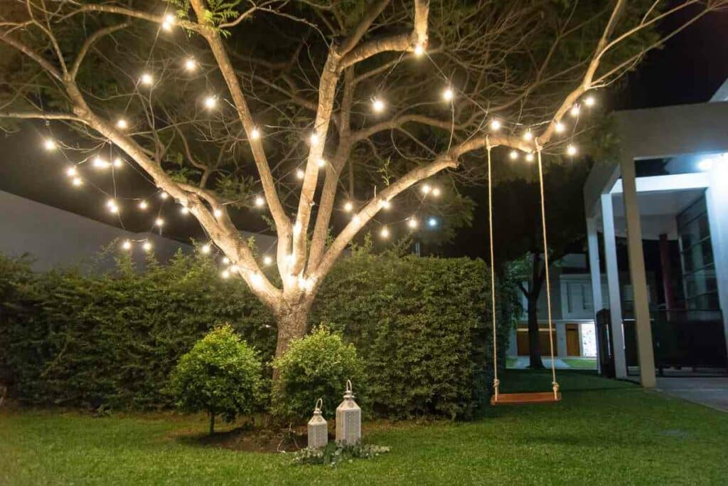 Landscape Lighting for Trees