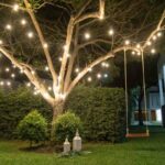 Landscape Lighting for Trees