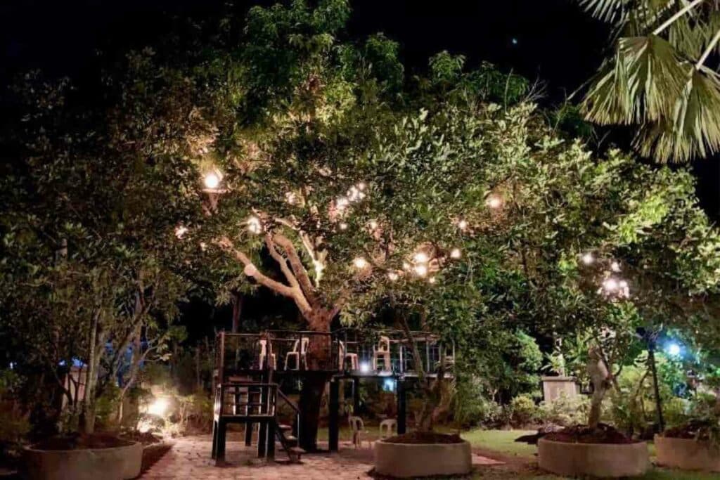 lighting trees ideas