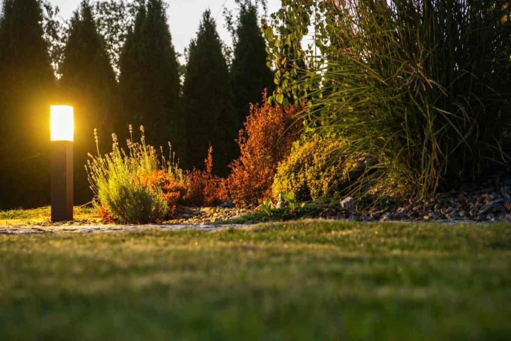 Low Voltage vs Solar Landscape Lighting for garden