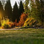 Low Voltage vs Solar Landscape Lighting for garden