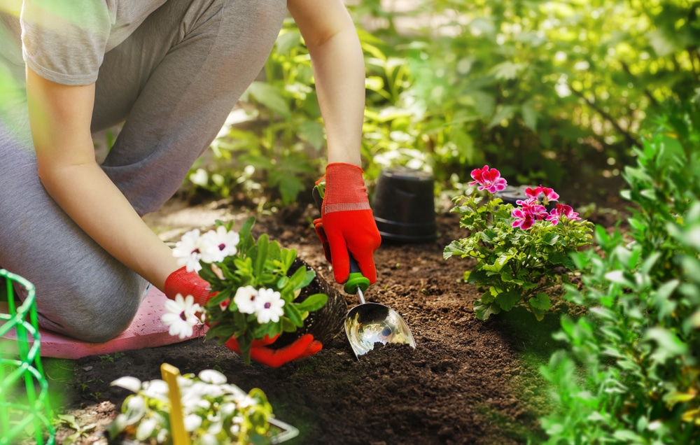 A gardener digging a hole to plant some flowers.