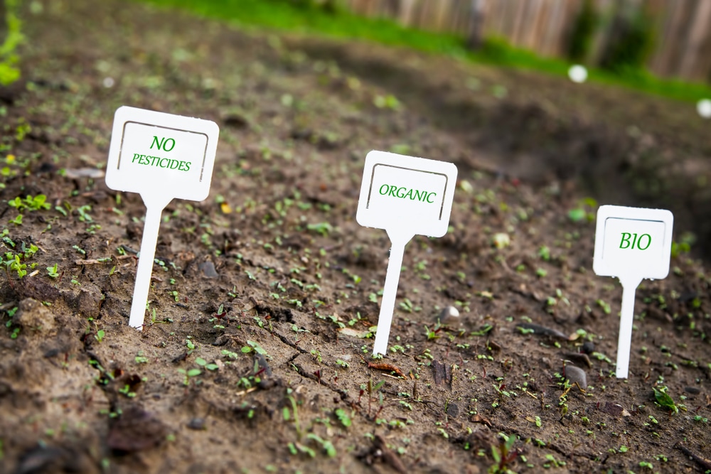 Three white signs in a garden reading "No Pesticides," "Organic," and "Bio."